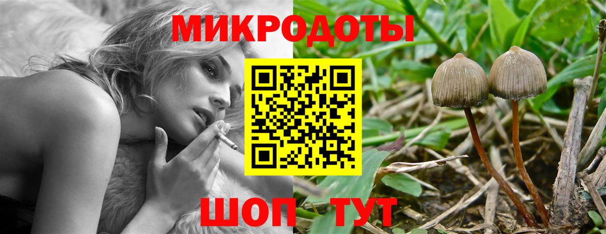 Галлюциногенные грибы Psilocybe  Вход с VPN  Моздок  Галлюциногенные грибы Psilocybine cubensis 