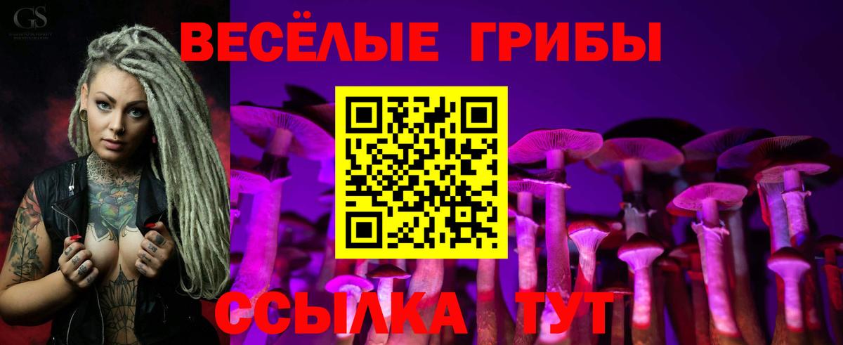 Галлюциногенные грибы мухоморы Моздок